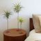 Beautiful Plant Decors For Your House 02