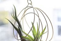 Beautiful Plant Decors For Your House 06