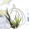Beautiful Plant Decors For Your House 06