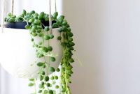 Beautiful Plant Decors For Your House 07