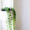 Beautiful Plant Decors For Your House 07