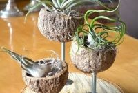 Beautiful Plant Decors For Your House 08