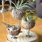 Beautiful Plant Decors For Your House 08