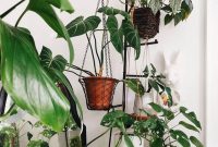Beautiful Plant Decors For Your House 10