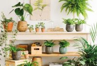 Beautiful Plant Decors For Your House 13
