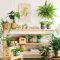 Beautiful Plant Decors For Your House 13