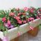 Beautiful Plant Decors For Your House 15