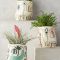 Beautiful Plant Decors For Your House 17
