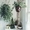 Beautiful Plant Decors For Your House 18