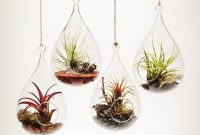 Beautiful Plant Decors For Your House 22