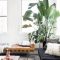 Beautiful Plant Decors For Your House 23