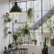 Beautiful Plant Decors For Your House 25