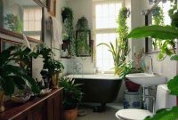 Beautiful Plant Decors For Your House 28