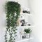 Beautiful Plant Decors For Your House 35