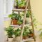 Beautiful Plant Decors For Your House 37
