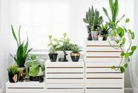 Beautiful Plant Decors For Your House 40