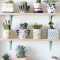 Beautiful Plant Decors For Your House 44