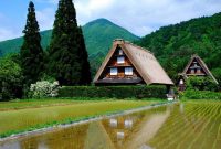 This Japanese House Looks Peculiar But Beautiful 04