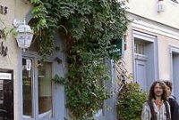 Beautiful Facades With Vines And Climbers 08