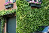 Beautiful Facades With Vines And Climbers 15