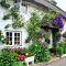 Beautiful Facades With Vines And Climbers 17
