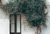 Beautiful Facades With Vines And Climbers 21