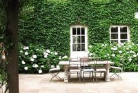 Beautiful Facades With Vines And Climbers 30