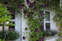 Beautiful Facades With Vines And Climbers 31