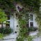 Beautiful Facades With Vines And Climbers 31