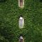 Beautiful Facades With Vines And Climbers 41