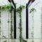 Beautiful Facades With Vines And Climbers 45