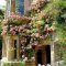 Beautiful Facades With Vines And Climbers 50
