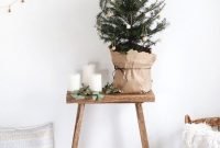 Extraordinary Christmas Tree Decor Ideas 15