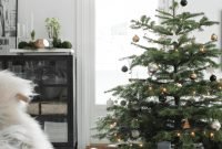 Extraordinary Christmas Tree Decor Ideas 29