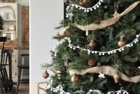 Extraordinary Christmas Tree Decor Ideas 31