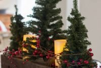 Unordinary Christmas Home Decor Ideas 49