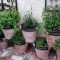 Attractive Small Patio Garden Design Ideas For Your Backyard 14