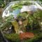 Magnificient Diy Fairy Garden Ideas With Plants 01