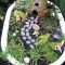 Magnificient Diy Fairy Garden Ideas With Plants 36