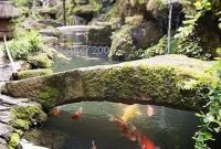 Cute Japanese Garden Design Ideas 24