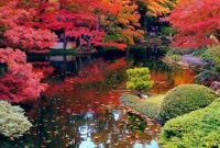 Cute Japanese Garden Design Ideas 41
