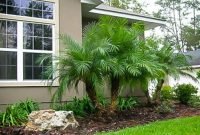 Cute Palm Gardening Ideas For Front Yard 07