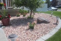 Cute Palm Gardening Ideas For Front Yard 11