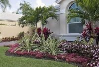 Cute Palm Gardening Ideas For Front Yard 17