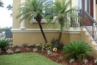 Cute Palm Gardening Ideas For Front Yard 21