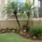 Cute Palm Gardening Ideas For Front Yard 21