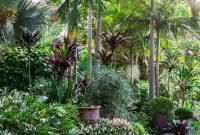 Cute Palm Gardening Ideas For Front Yard 33