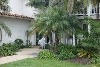Cute Palm Gardening Ideas For Front Yard 35