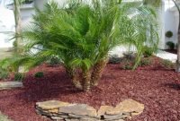 Cute Palm Gardening Ideas For Front Yard 41