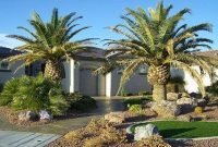 Cute Palm Gardening Ideas For Front Yard 49